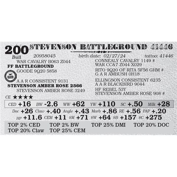 STEVENSON BATTLEGROUND 41446