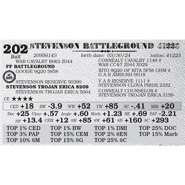 STEVENSON BATTLEGROUND 41223