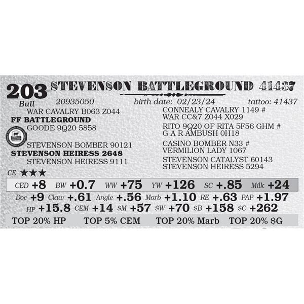 STEVENSON BATTLEGROUND 41437