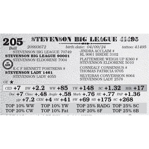 STEVENSON BIG LEAGUE 41495