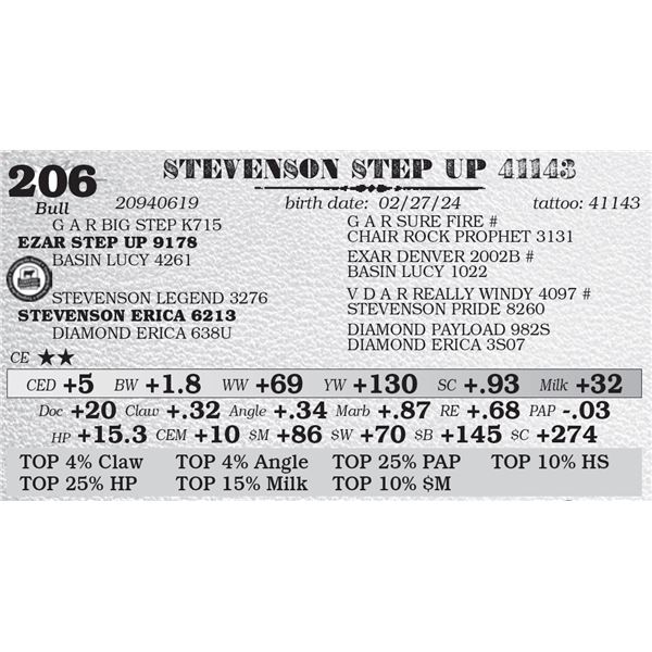 STEVENSON STEP UP 41143