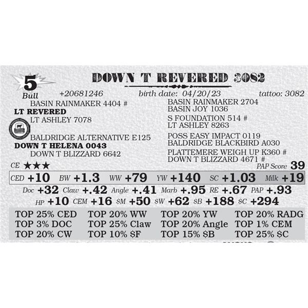 DOWN T REVERED 3082