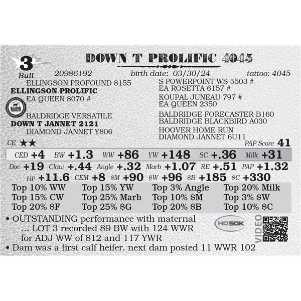 DOWN T PROLIFIC 4045