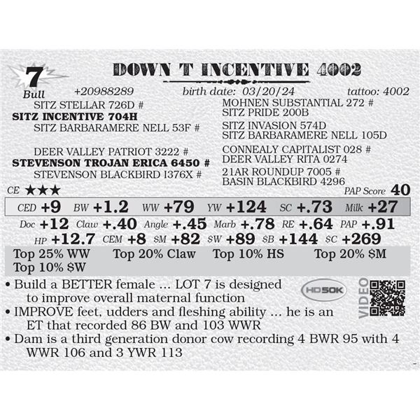 DOWN T INCENTIVE 4002