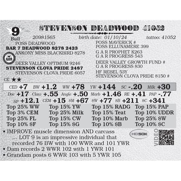 STEVENSON DEADWOOD 41052