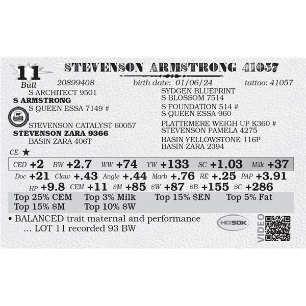 STEVENSON ARMSTRONG 41057