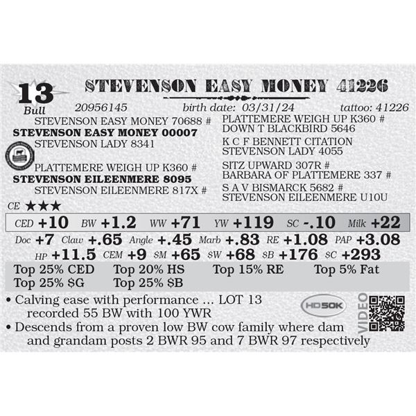 STEVENSON EASY MONEY 41226