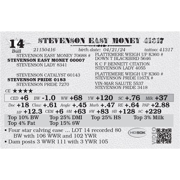 STEVENSON EASY MONEY 41317