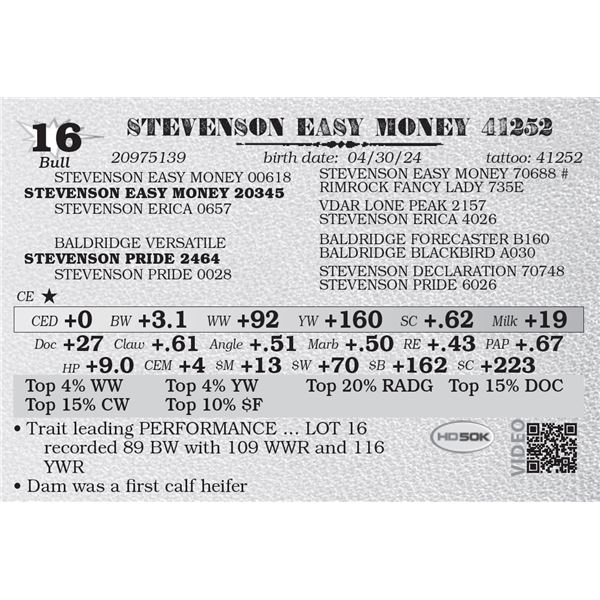 STEVENSON EASY MONEY 41252