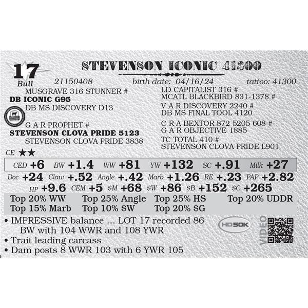 STEVENSON ICONIC 41300