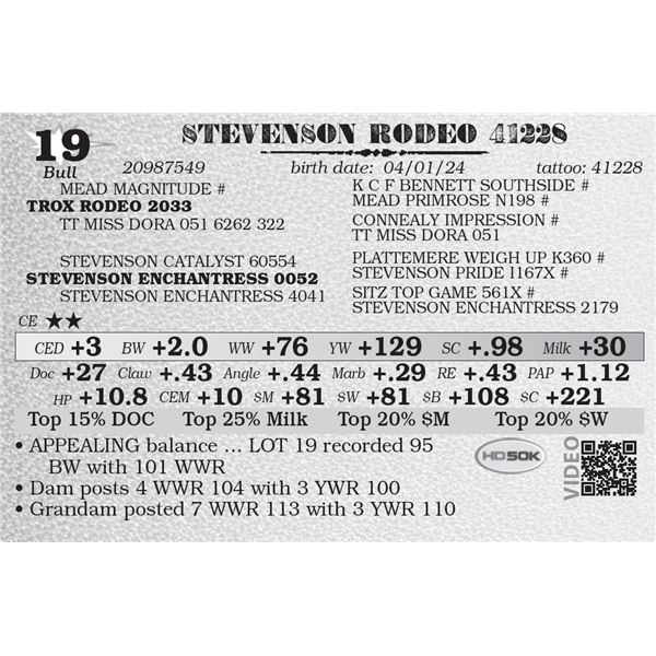 STEVENSON RODEO 41228