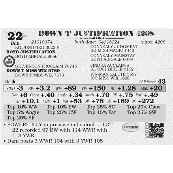 DOWN T JUSTIFICATION 4208