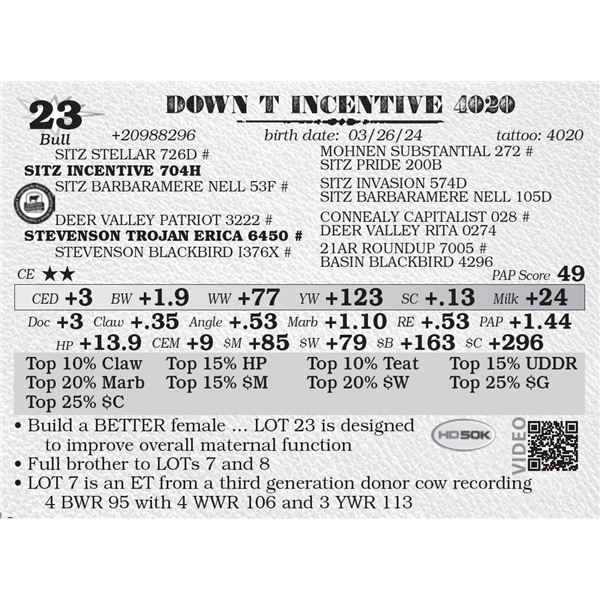 DOWN T INCENTIVE 4020