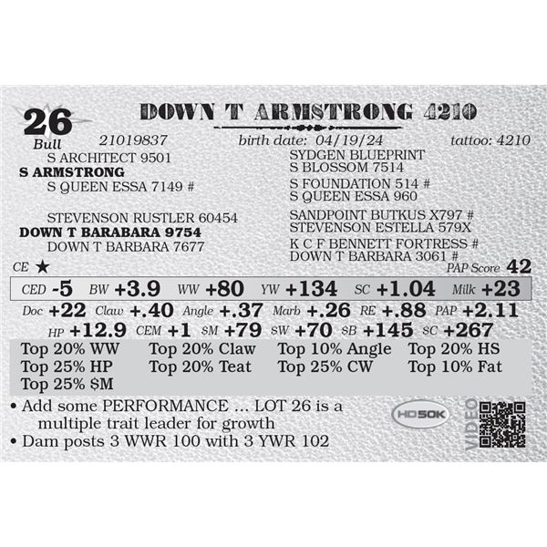 DOWN T ARMSTRONG 4210