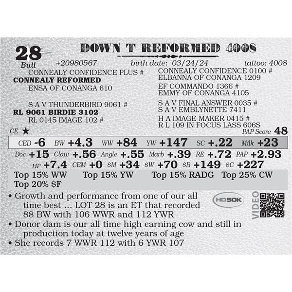 DOWN T REFORMED 4008