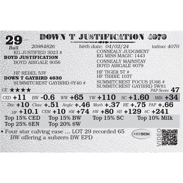 DOWN T JUSTIFICATION 4070