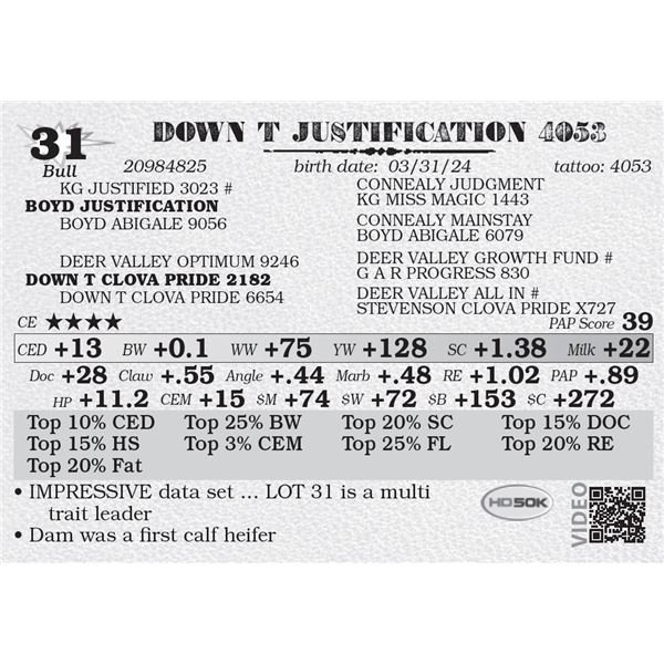 DOWN T JUSTIFICATION 4053