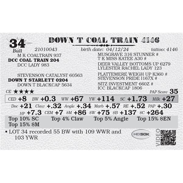 DOWN T COAL TRAIN 4146