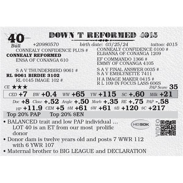 DOWN T REFORMED 4015