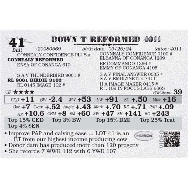 DOWN T REFORMED 4011