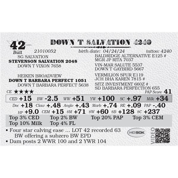 DOWN T SALVATION 4240