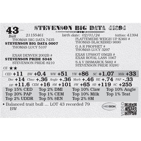 STEVENSON BIG DATA 41394