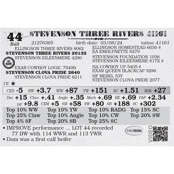STEVENSON THREE RIVERS 41161