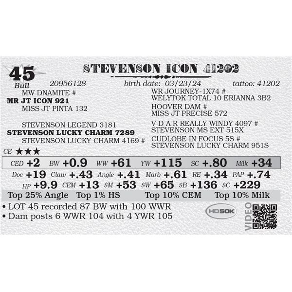 STEVENSON ICON 41202