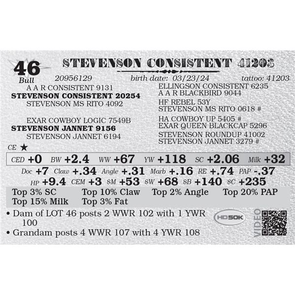 STEVENSON CONSISTENT 41203
