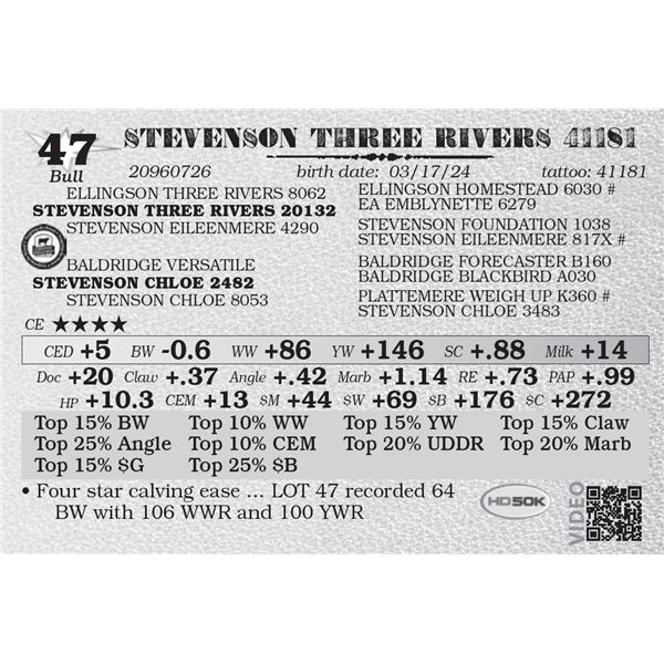 STEVENSON THREE RIVERS 41181