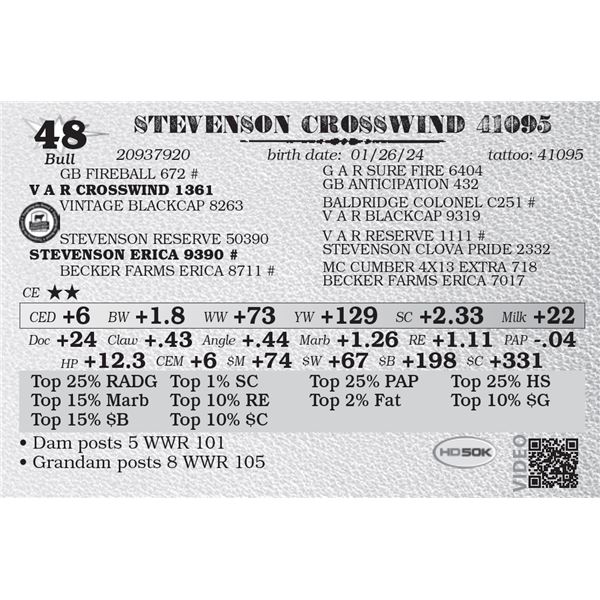 STEVENSON CROSSWIND 41095