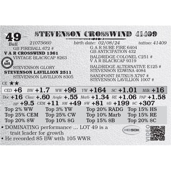 STEVENSON CROSSWIND 41409