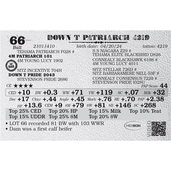 DOWN T PATRIARCH 4219