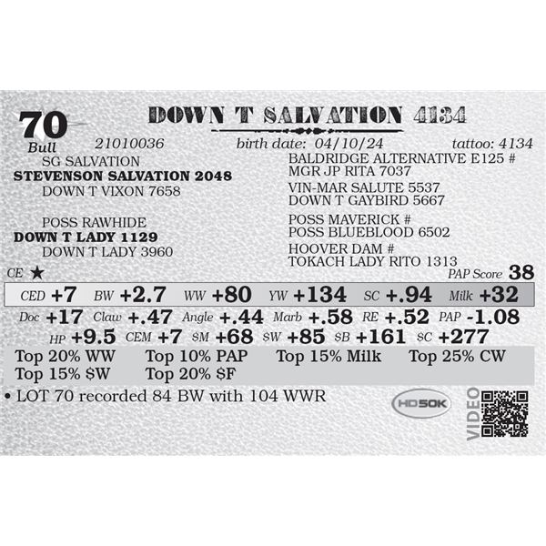 DOWN T SALVATION 4134