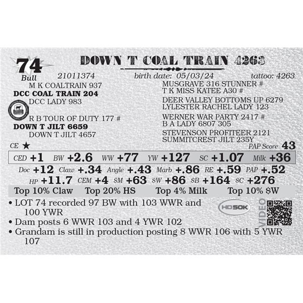 DOWN T COAL TRAIN 4263