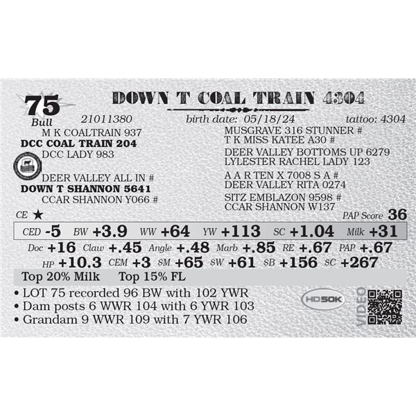 DOWN T COAL TRAIN 4304