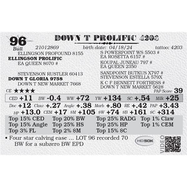 DOWN T PROLIFIC 4203