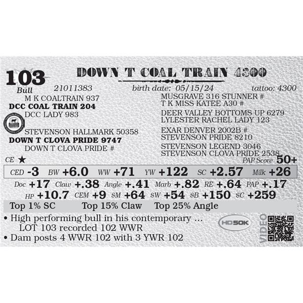 DOWN T COAL TRAIN 4300