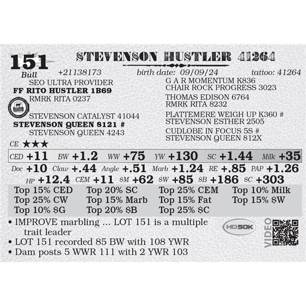 STEVENSON HUSTLER 41264