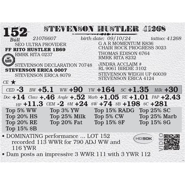 STEVENSON HUSTLER 41268