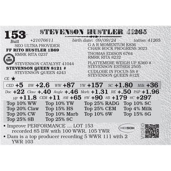 STEVENSON HUSTLER 41265