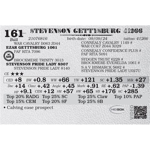 STEVENSON GETTYSBURG 41266