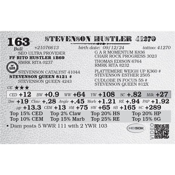 STEVENSON HUSTLER 41270