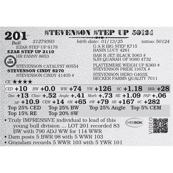 STEVENSON STEP UP 50124