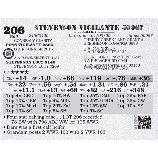 STEVENSON VIGILANTE 50067