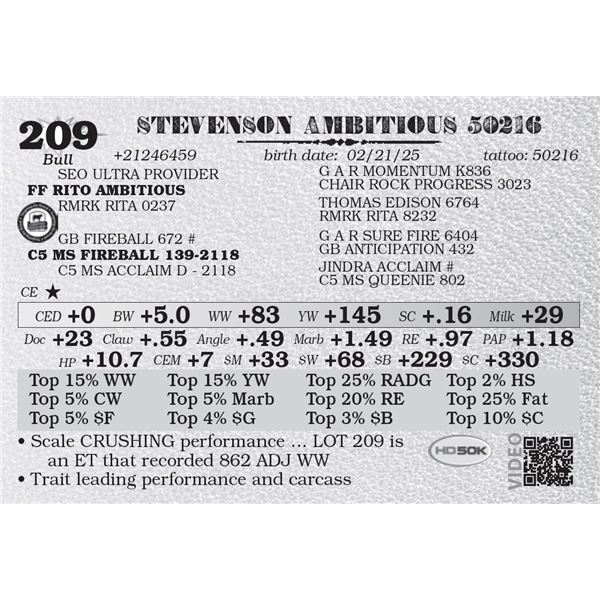 STEVENSON AMBITIOUS 50216