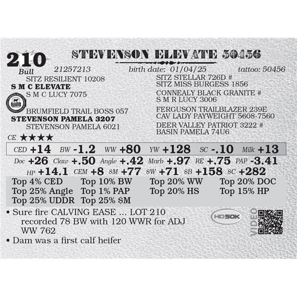 STEVENSON ELEVATE 50456