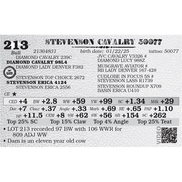 STEVENSON CAVALRY 50077