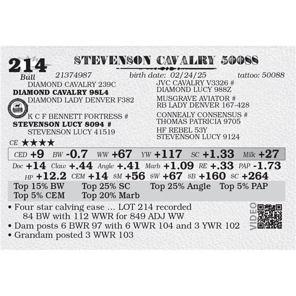 STEVENSON CAVALRY 50088