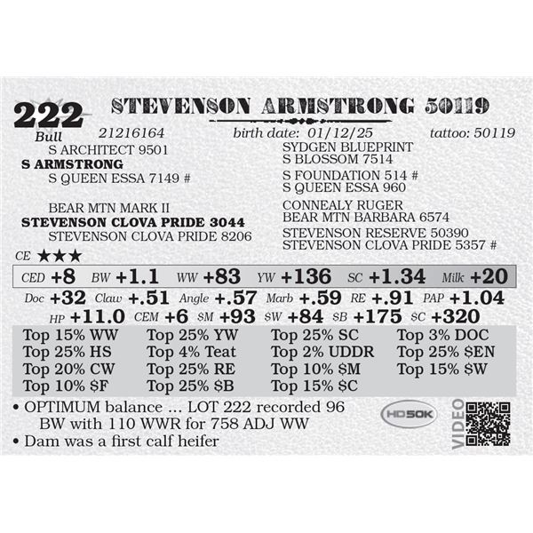 STEVENSON ARMSTRONG 50119